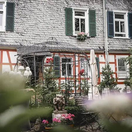 Klostermuehle 3* Eltville am Rhein